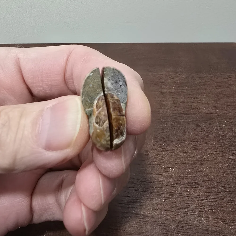 Ammonite Crystal Fossils #B - Picture 4 of 5